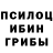 ГЕРОИН хмурый Ginobuto