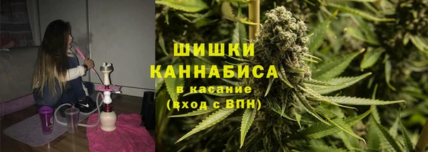 метадон Белокуриха