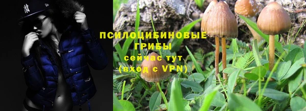 метадон Белокуриха