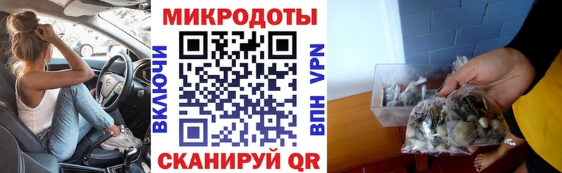 Псилоцибиновые грибы мухоморы  darknet Telegram  Кремёнки 